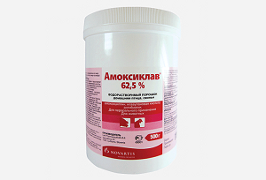 amoksiklav-62-5-foto