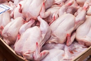 chicken_meat_kura