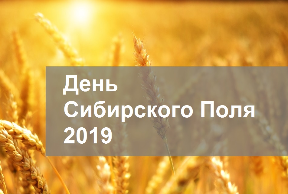 день сибирского поля 2019