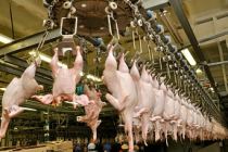 Ситуация на рынке мяса и мясопродуктов  с 14 по 18 марта 2022 года