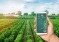 С 15 августа стартует конкурс на субсидии в поддержку технической и технологической модернизации, инновационного развития сельскохозяйственного производства в Свердловской области