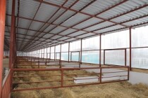 В Далматовском районе Курганской области «КХ «Барабинское» строит новые корпуса фермы на 300 голов КРС