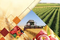 Конкурсный отбор проектов сельхозтоваропроизводителей на предоставление грантов «Агропрогресс» в Татарстане