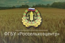Россельхозцентр патронирует фермеров Челябинской области в онлайн-режиме