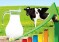 Рейтинг лучших животноводческих хозяйств Оренбургской области по продуктивности коров