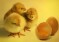 Hendrix Genetics тестирует новую технологию выбраковки суточных цыплят