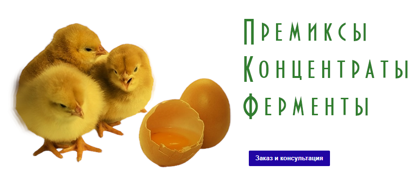 chicks-eggs_856_prev_ui